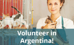 Volunteering in South America with NICE