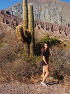 Trip nach Salta: Kaktus
