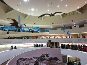 Museen: Ciencias Naturales