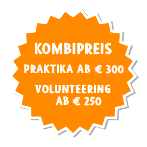  Auslandspraktikum Kombipreis